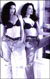 lavendertwins.sm_photo.by.timeline.graphics.jpg (7022 bytes)