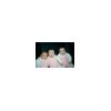 otoole_triplets.jpg